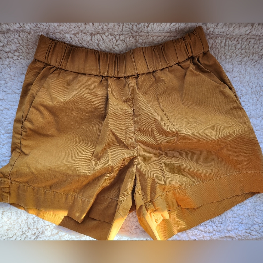 EVERLANE Easy Chino Long Short size 6